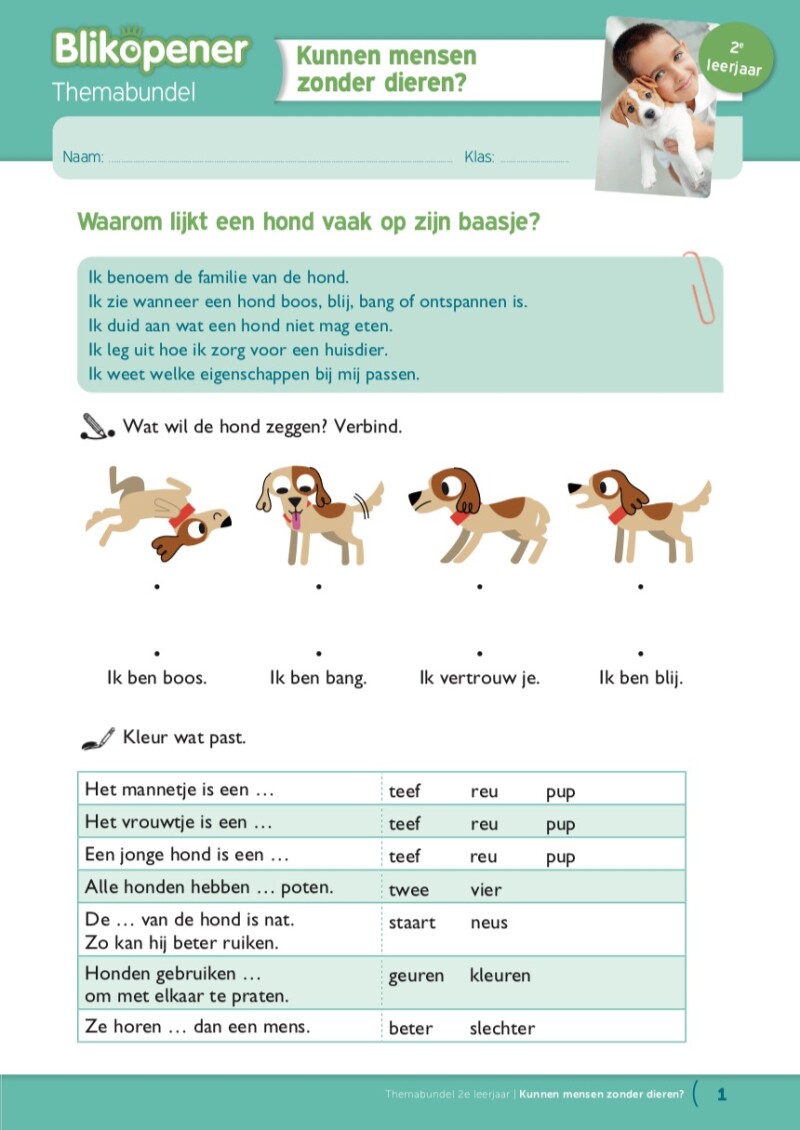 Blikopener 2 Pakket van 8 werkbundels (Verschillende thema's)