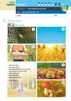 Mundo 1 - werkkatern 3: Al die blaadjes op de grond! 