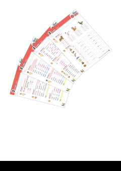 Verrekijker 2 spelling - set van 4 correctiesleutels