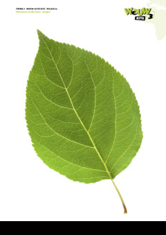 WOUW 3 - bijlagen KITE