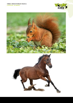 WOUW 3 - bijlagen MILAN