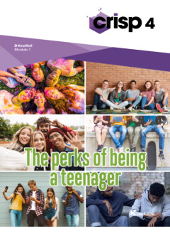 Crisp 4 - set modules D domeingebonden