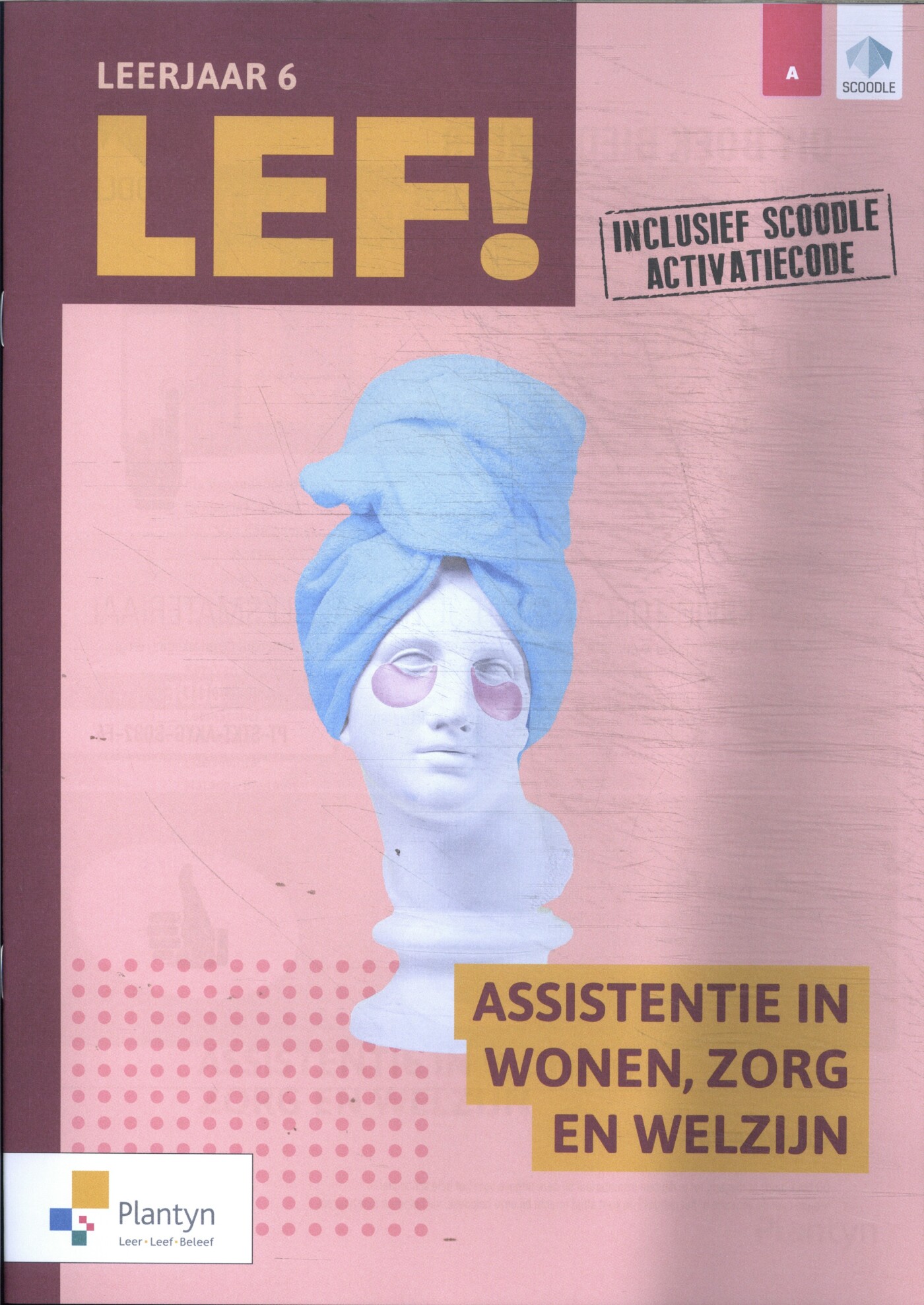LEF! 5/6 Assistentie in wonen, zorg en welzijn deel 2/2 (incl. digitale leerpaden, Scoodle)
