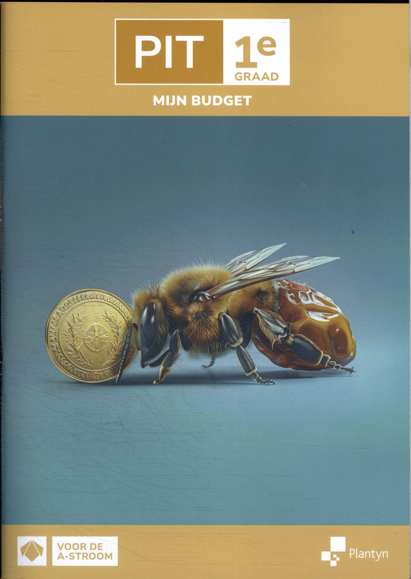 PIT 1e graad Mijn budget Leerwerkboek (incl. Scoodle)