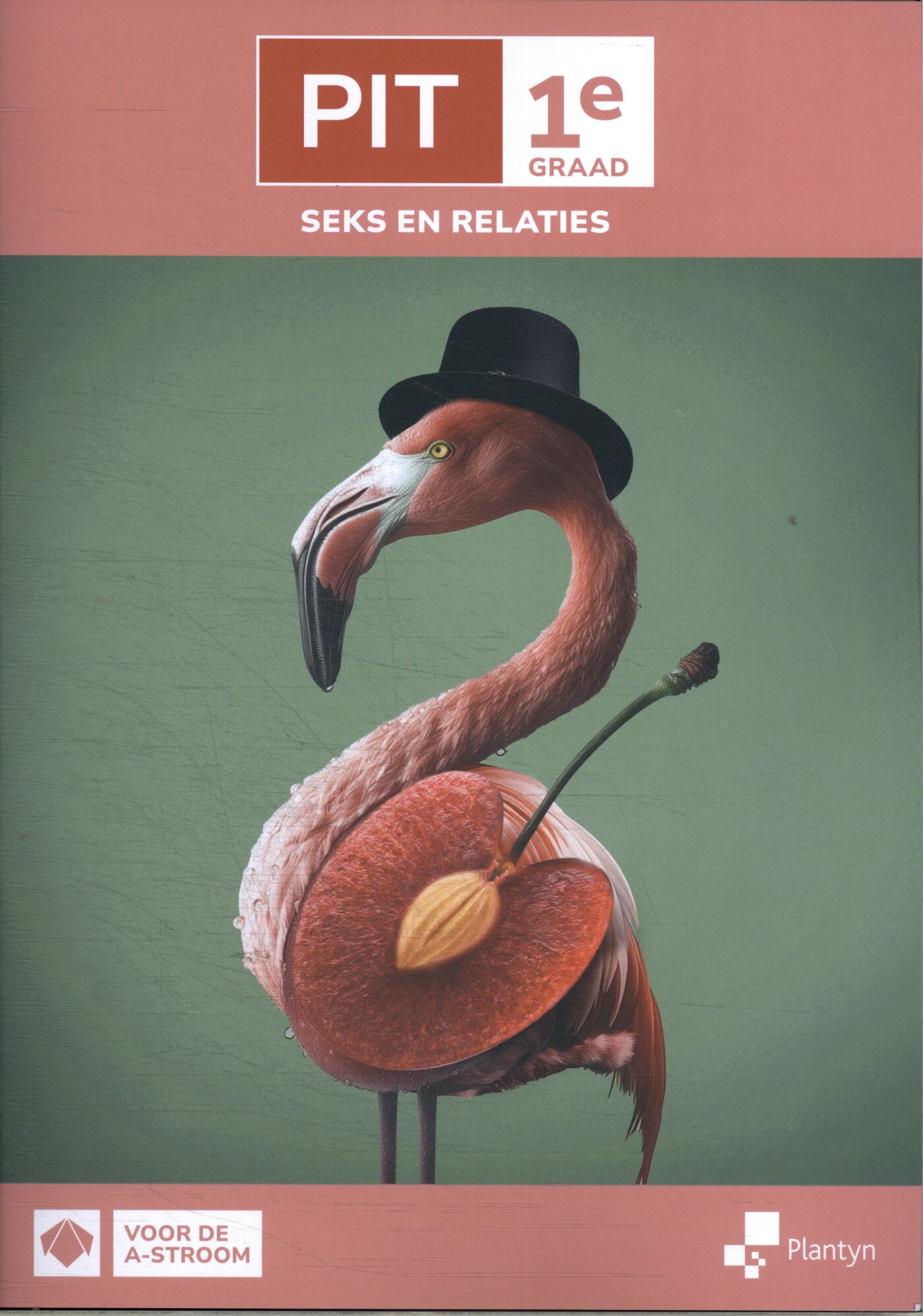 PIT 1e graad Seks en relaties Leerwerkboek (incl. Scoodle)