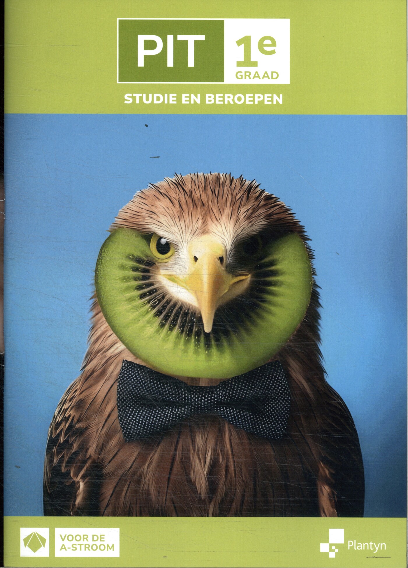 PIT 1e graad Studie en beroepen Leerwerkboek (incl. Scoodle)