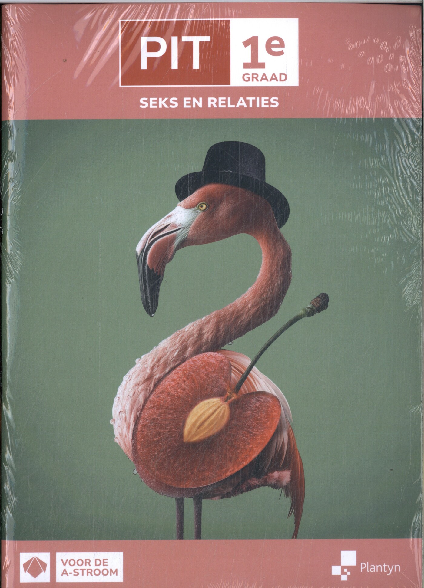 PIT 1e graad Mens en samenleving (incl. Scoodle) (pakket leerwerkboeken)